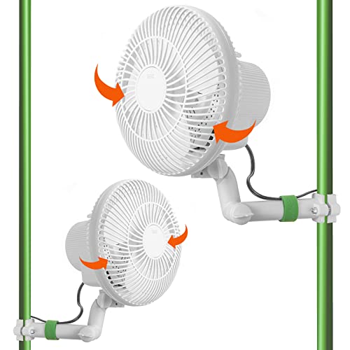 LINCHOC GARDEN Grow Tent Oscillating Fan,6 inch Copper Wire Motor Pole Mount monkey Fan for Grow Tents with 2 Speed 120v 25w Clip On (2 PACK)