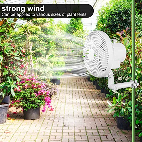 LINCHOC GARDEN Grow Tent Oscillating Fan,6 inch Copper Wire Motor Pole Mount monkey Fan for Grow Tents with 2 Speed 120v 25w Clip On (2 PACK)