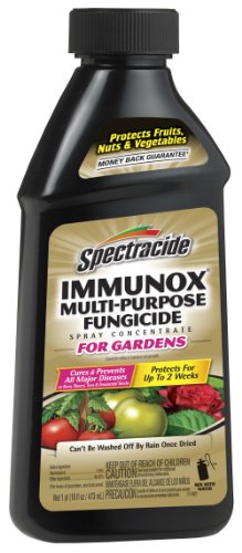 Spectracide Immunox Multi-Purpose Fungicide Spray Concentrate for Gardens, 16-oz, Fl. Oz, Pack of 6 (Total 96 Fl. Oz), Transparent