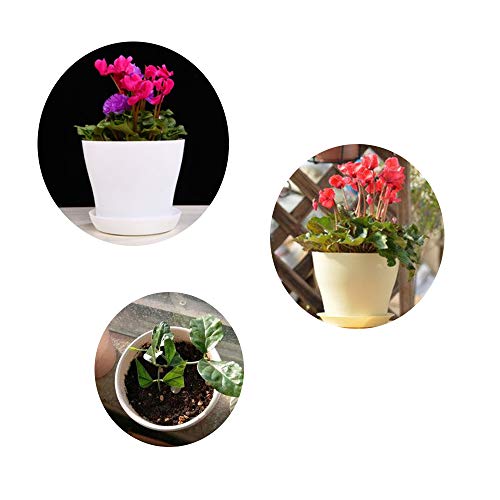 12 Pack 3.7Inch White Plastic Nursery Pots,Flower Plant Nursery Pot,Cylinder Garden Plant Pots with Drainage and Saucer for Indoor Outdoor Garden Office Decor