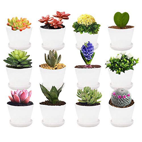 12 Pack 3.7Inch White Plastic Nursery Pots,Flower Plant Nursery Pot,Cylinder Garden Plant Pots with Drainage and Saucer for Indoor Outdoor Garden Office Decor