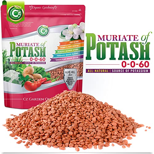 Muriate of Potash 0-0-60 Fertilizer Made in USA - MOP Potassium Plant Food for Indoor/Outdoor Plants & Organic Gardens – Promotes Big Blooms! Fruit, Vegetables, Holistic Herbs, Trees