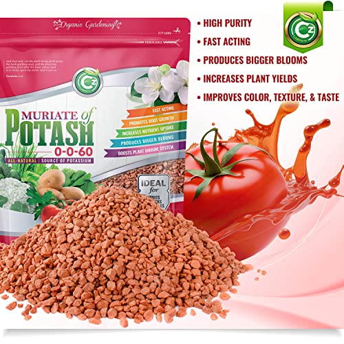 Muriate of Potash 0-0-60 Fertilizer Made in USA - MOP Potassium Plant Food for Indoor/Outdoor Plants & Organic Gardens – Promotes Big Blooms! Fruit, Vegetables, Holistic Herbs, Trees