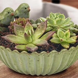 Small Bird Flower Pots Succulent Planters Special Design Fun Garden Animal Ceramic Pots with Hole for Home Office Desktop Decoration