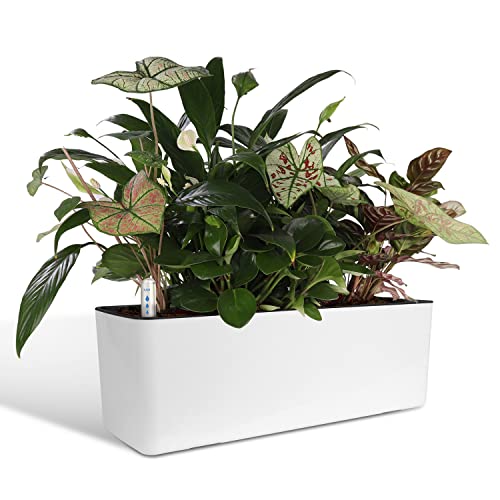 J&C Self Watering Planter, Window Gardening Box, 16x 5.5 Inch, Indoor Home Garden, Modern Decorative Planter Pot for All Indoor Plants, Rectangle, White (Plants Not Included)