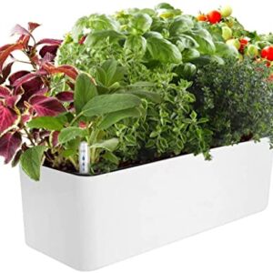 J&C Self Watering Planter, Window Gardening Box, 16x 5.5 Inch, Indoor Home Garden, Modern Decorative Planter Pot for All Indoor Plants, Rectangle, White (Plants Not Included)