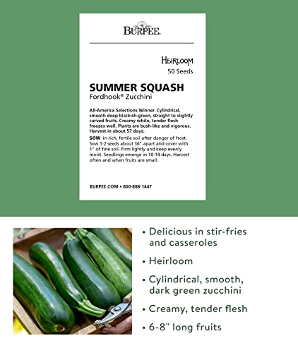 Burpee Fordhook Zucchini Summer Squash Seeds 50 seeds