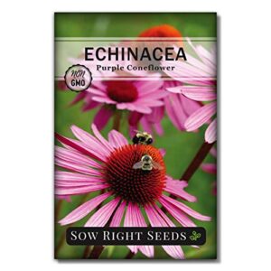 sow right seeds – purple coneflower/echinacea flower seeds for planting – non-gmo heirloom seed – full instructions to plant an herbal tea garden – great gardening gift (1)…