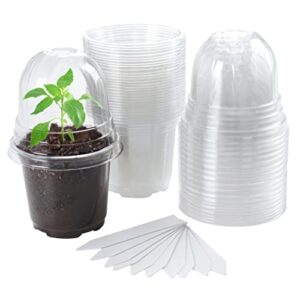 bluepro clear nursery pots with humidity dome 30 sets 4″ transparent plastic plant pot seedling planter seed starter pots flower pot with 10pcs plant labels for indoor outdoor garden