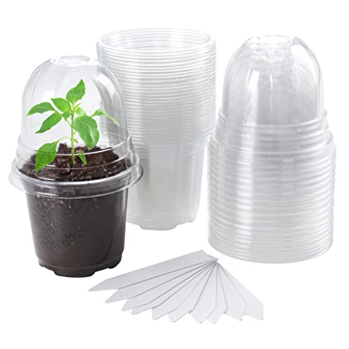 Bluepro Clear Nursery Pots with Humidity Dome 30 Sets 4" Transparent Plastic Plant Pot Seedling Planter Seed Starter Pots Flower Pot with 10pcs Plant Labels for Indoor Outdoor Garden