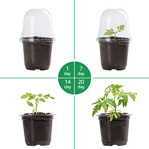 Bluepro Clear Nursery Pots with Humidity Dome 30 Sets 4" Transparent Plastic Plant Pot Seedling Planter Seed Starter Pots Flower Pot with 10pcs Plant Labels for Indoor Outdoor Garden