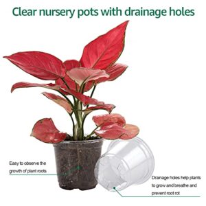 Bluepro Clear Nursery Pots with Humidity Dome 30 Sets 4" Transparent Plastic Plant Pot Seedling Planter Seed Starter Pots Flower Pot with 10pcs Plant Labels for Indoor Outdoor Garden