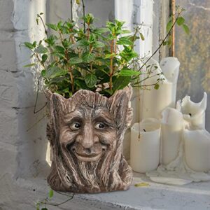 EIIORPO Face Planter,Head Planter Garden Pots Resin Face Planter Flower Pots Succulent Planters Funny Planters for Indoor Plants Yard Art Garden Decorations Creative Gift.(B)