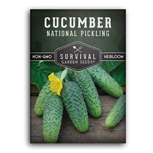 survival garden seeds – national pickling cucumber seed for planting – packet with instructions to plant and grow cucumis sativus in your home vegetable garden – non-gmo heirloom variety