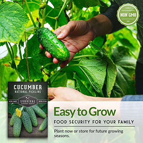 Survival Garden Seeds - National Pickling Cucumber Seed for Planting - Packet with Instructions to Plant and Grow Cucumis Sativus in Your Home Vegetable Garden - Non-GMO Heirloom Variety