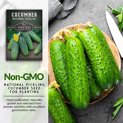 Survival Garden Seeds - National Pickling Cucumber Seed for Planting - Packet with Instructions to Plant and Grow Cucumis Sativus in Your Home Vegetable Garden - Non-GMO Heirloom Variety