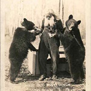 Bears: Take Time Out for Lunch Spikehorn and Pals Harrison, Michigan MI Original Antique Postcard