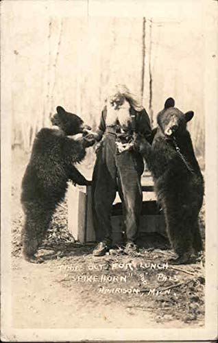 Bears: Take Time Out for Lunch Spikehorn and Pals Harrison, Michigan MI Original Antique Postcard