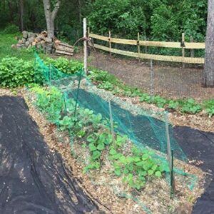 KINGLAKE 33 Ft x 13 Ft Green Garden Bird Netting,Green Garden Plant Netting,Garden Plant Fruits Fencing Mesh