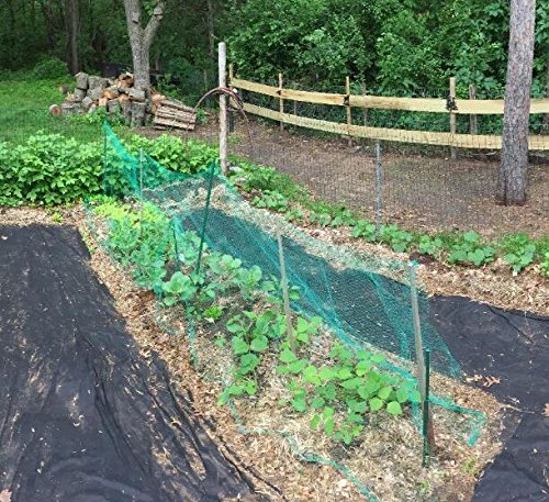 KINGLAKE 33 Ft x 13 Ft Green Garden Bird Netting,Green Garden Plant Netting,Garden Plant Fruits Fencing Mesh