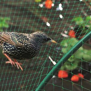 KINGLAKE 33 Ft x 13 Ft Green Garden Bird Netting,Green Garden Plant Netting,Garden Plant Fruits Fencing Mesh