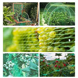 KINGLAKE 33 Ft x 13 Ft Green Garden Bird Netting,Green Garden Plant Netting,Garden Plant Fruits Fencing Mesh