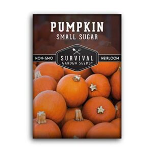 survival garden seeds – small sugar pumpkin seed for planting – packet with instructions to plant and grow pie pumpkins in your home vegetable garden – non-gmo heirloom variety