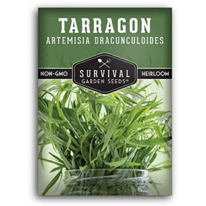 survival garden seeds – russian tarragon seed for planting – packet with instructions to plant and grow big flowering herbs in your home vegetable garden – non-gmo heirloom variety