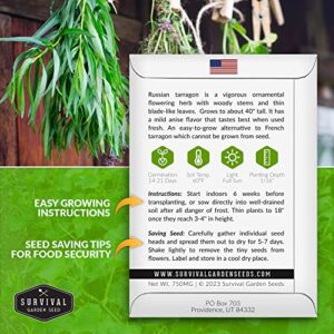 Survival Garden Seeds - Russian Tarragon Seed for Planting - Packet with Instructions to Plant and Grow Big Flowering Herbs in Your Home Vegetable Garden - Non-GMO Heirloom Variety