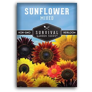 survival garden seeds – mix of popular sunflower seeds for planting – packet with instructions to plant and grow beautiful flowers in your home vegetable or flower garden – non-gmo heirloom varieties