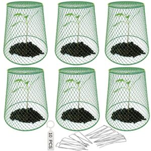 re goods chicken wire plant cover – 6 garden cloche baskets, cage protectors from animals and rabbits, includes 18 garden stakes and 10 waterproof labels (green)