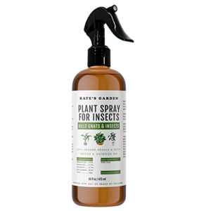 plant spray bottle for insects (16oz) by kate’s garden. garden plant care peppermint oil spray for bugs. fungus gnat killer for indoor plants & outdoors. insecticide for fruit flies, spider mites.