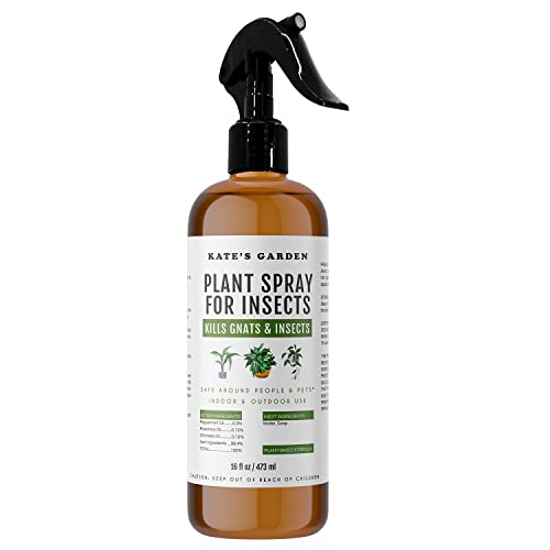 Plant Spray Bottle for Insects (16oz) by Kate's Garden. Garden Plant Care Peppermint Oil Spray for Bugs. Fungus Gnat Killer for Indoor Plants & Outdoors. Insecticide for Fruit Flies, Spider Mites.