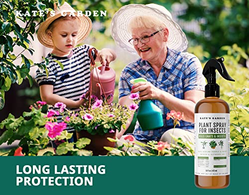 Plant Spray Bottle for Insects (16oz) by Kate's Garden. Garden Plant Care Peppermint Oil Spray for Bugs. Fungus Gnat Killer for Indoor Plants & Outdoors. Insecticide for Fruit Flies, Spider Mites.