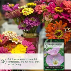 Sow Right Seeds - Showy Evening Primrose Flower Seeds for Planting - Beautiful Flowers to Plant in Your Home Garden - Non-GMO Heirloom Seeds - Native Wildflower, Attract Pollinators - Great Gift