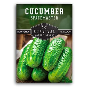 survival garden seeds – spacemaster cucumber seed for planting – packet with instructions to plant and grow container friendly cucumbers in your home vegetable garden – non-gmo heirloom variety