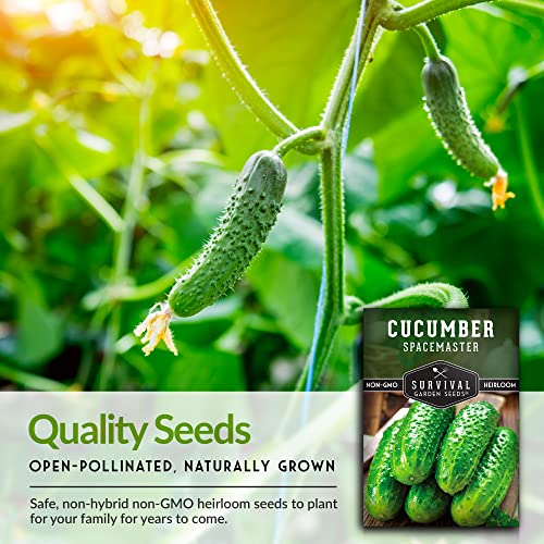 Survival Garden Seeds - Spacemaster Cucumber Seed for Planting - Packet with Instructions to Plant and Grow Container Friendly Cucumbers in Your Home Vegetable Garden - Non-GMO Heirloom Variety