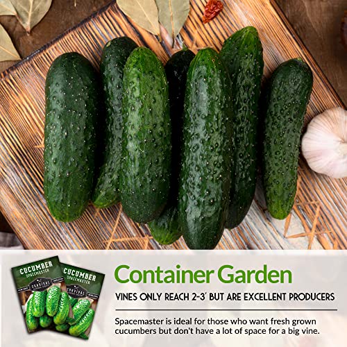 Survival Garden Seeds - Spacemaster Cucumber Seed for Planting - Packet with Instructions to Plant and Grow Container Friendly Cucumbers in Your Home Vegetable Garden - Non-GMO Heirloom Variety