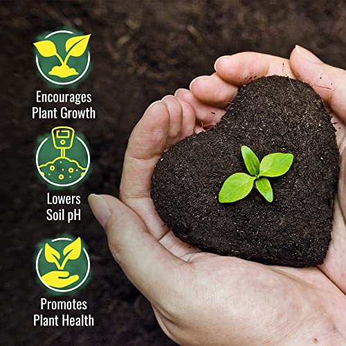 DL Wholesale Sulfur Bag 4lb Organic Plant Fertilizer, Garden Planting Soil Food for Vegetable Garden, Succulents, OMRI Certified