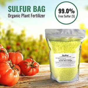 DL Wholesale Sulfur Bag 4lb Organic Plant Fertilizer, Garden Planting Soil Food for Vegetable Garden, Succulents, OMRI Certified