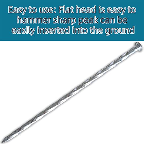 EISENSP 10-inch Spiral Metal Landscape Edging Stakes - Galvanized and Rustproof - 30pcs Round Anchoring Staples for Paver Edging, Artificial Turf, Garden Landscape and More, Bright Spike Timber Nail