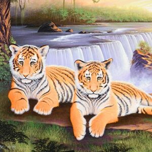 Tiger Falls