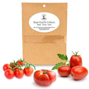 Heirloom Tomato Seeds for Planting Home Garden - Cherry - Roma - Beefsteak - Variety Tomatoes Seeds