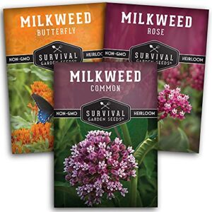 Survival Garden Seeds Milkweed Collection Seed Vault - Butterfly Milkweed, Common Milkweed & Rose (Swamp) Milkweed for Monarchs - Non-GMO Heirloom Seeds for Planting & Growing in a Pollinator Garden