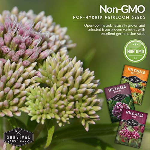 Survival Garden Seeds Milkweed Collection Seed Vault - Butterfly Milkweed, Common Milkweed & Rose (Swamp) Milkweed for Monarchs - Non-GMO Heirloom Seeds for Planting & Growing in a Pollinator Garden