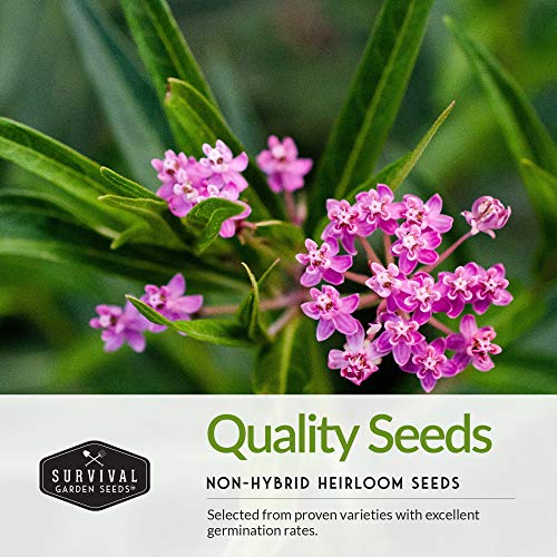 Survival Garden Seeds Milkweed Collection Seed Vault - Butterfly Milkweed, Common Milkweed & Rose (Swamp) Milkweed for Monarchs - Non-GMO Heirloom Seeds for Planting & Growing in a Pollinator Garden