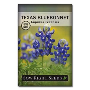 Sow Right Seeds - Texas Bluebonnet Seeds to Plant - Full Instructions for Planting and Growing a Beautiful Flower Garden; Non-GMO Heirloom Seeds; Wonderful Gardening Gift (1)
