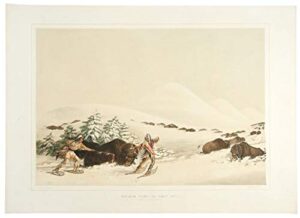 buffalo hunt on snow shoes