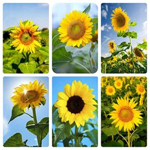 Giant Sunflower Seeds For Planting 15 Kinds of Mix Mammoth Flower Non-GMO Heirloom Outdoor Garden Home Easy to Plant (1500+)