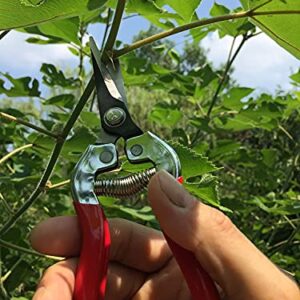 gonicc Professional Micro-Tip Pruning Snip (GPPS-1008), Small Garden Hand Pruner & shears For Arranging Flowers, Trimming Plants & Hydroponic Herbs, And Harvesting Fruits & Vegetables.